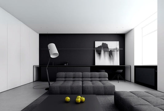 The Timeless Elegance of Monochrome Furniture