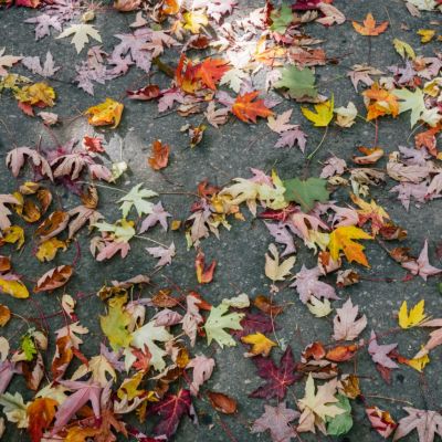 Autumn trends - Leather