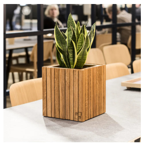 GrowOn planter - Squarely 