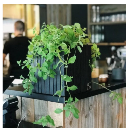GrowOn planter - Squarely 