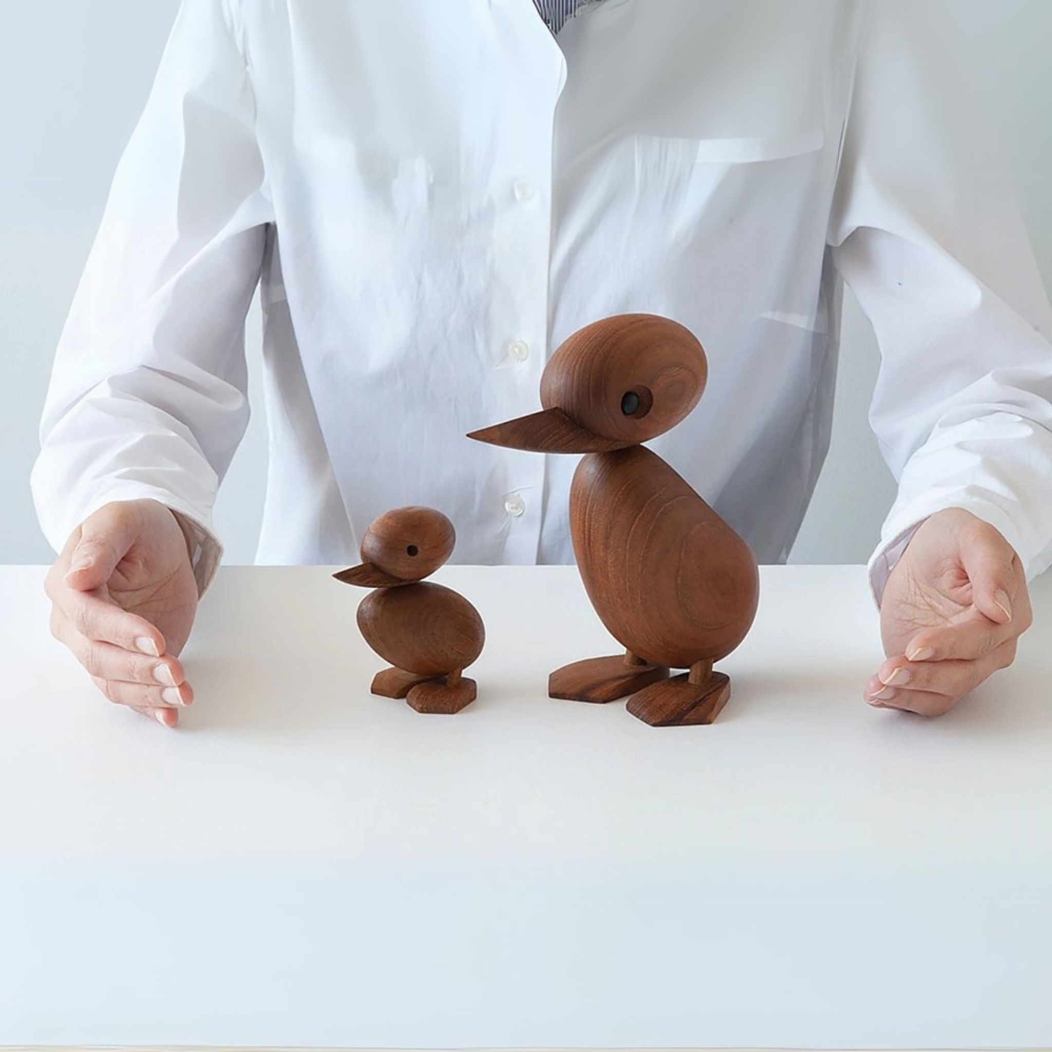 Wooden duckling
